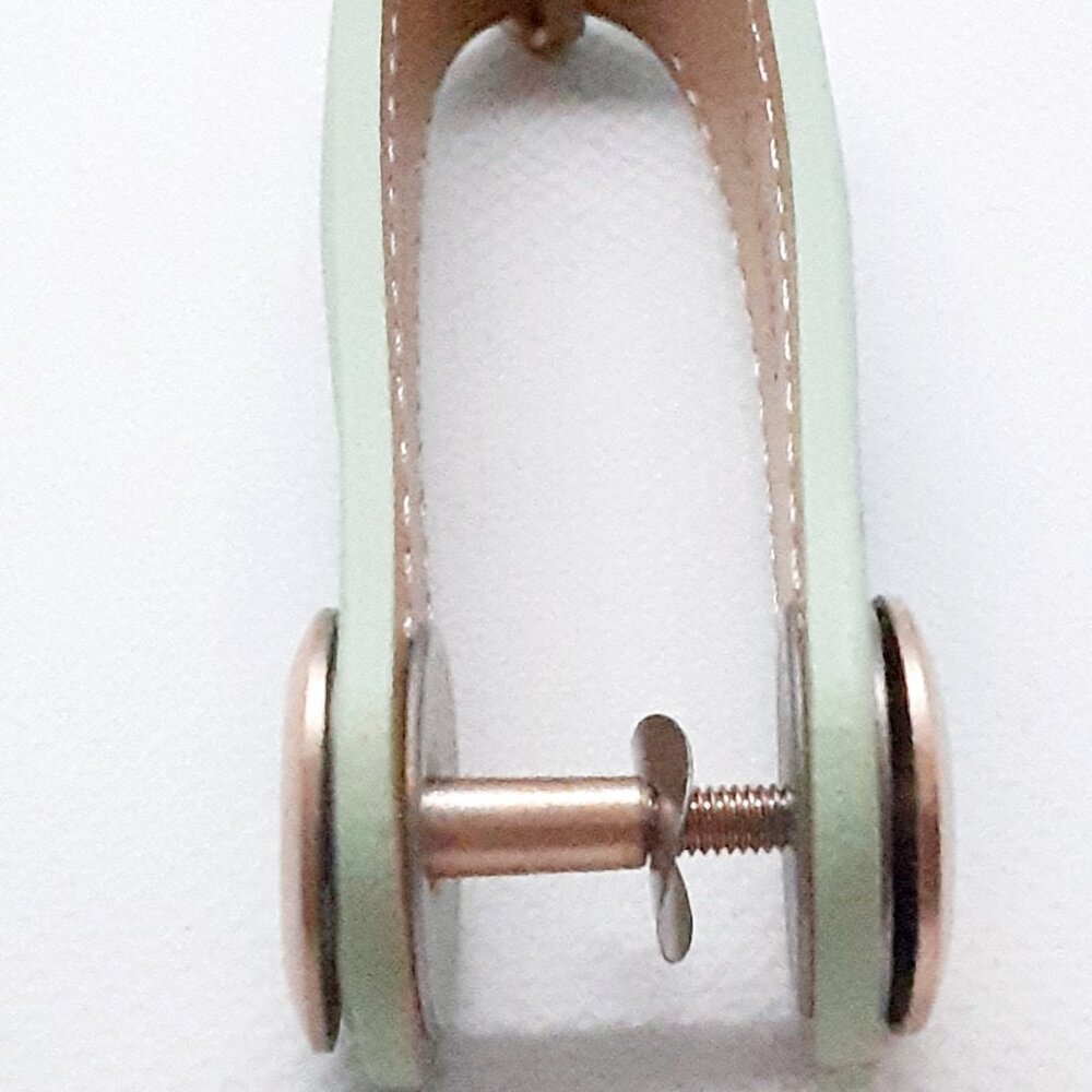 2026 Fall Color ...  2 HOSTS PICKED Mint green leather key holder - Picture 8 of 13